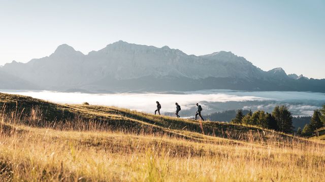 Image: summer in Longiarù
